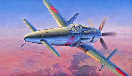 hasegawa shinden model aircraft
