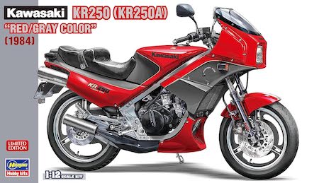 kawasaki kr250 hasegawa