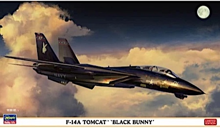Hasegawa F14A Tomcat Black Bunny